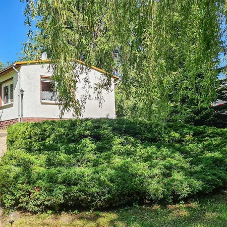 1 Bedroom In Harzgerode Ot D