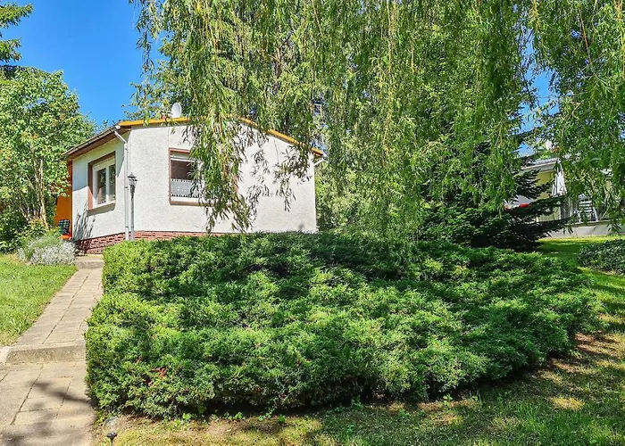 1 Bedroom In Harzgerode Ot D